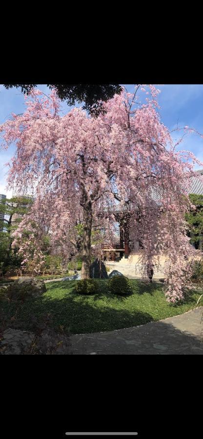 東洋の家-26 Square Meter Treadmi Garden House Appartement Tōkyō